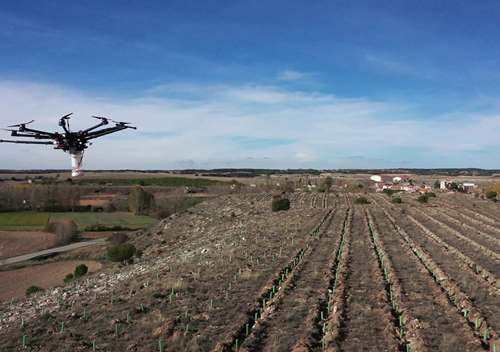 Foto Iberdrola reforestará cuatro pueblos de Castilla y León, Galicia y Cantabria comprometidos con la sostenibilidad.